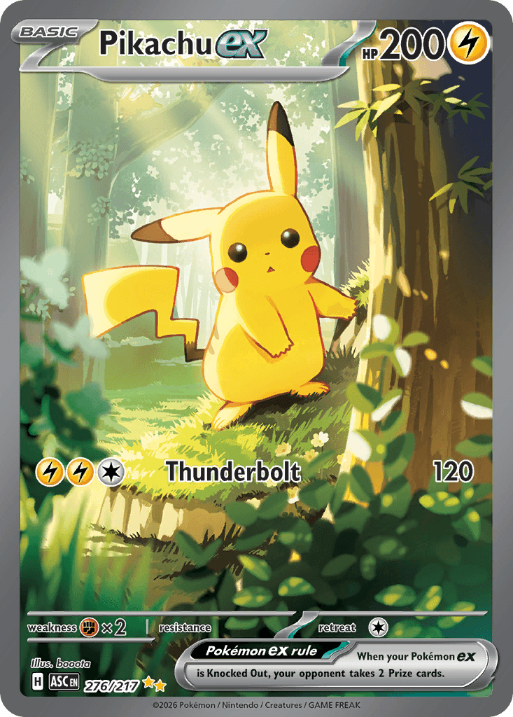 Pikabinder